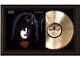 Kiss Paul Stanley Framed Legends Of Music Gold Lp Record Display